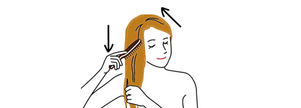 how_to_shampoo_B_05.jpg